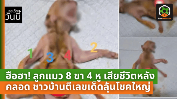ตีเลขเด็ด11167
