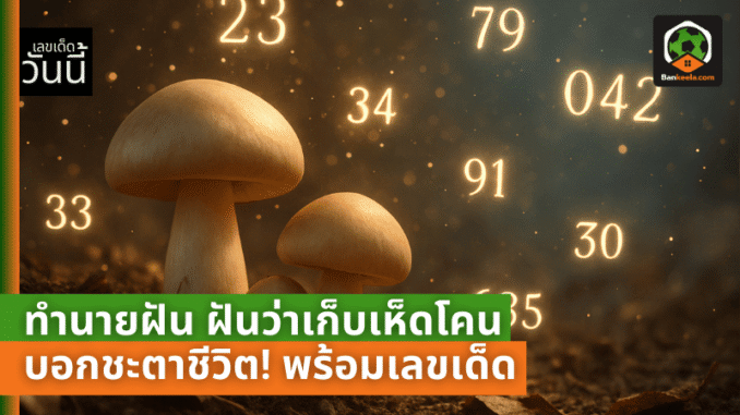 lotto pic - 2025-04-27T022634.676