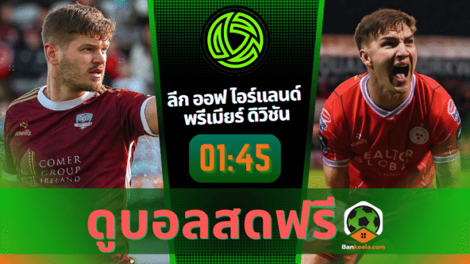 เต็ด พบ เชล