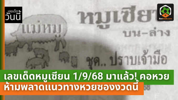 เลขเด็ดหมูเซียน