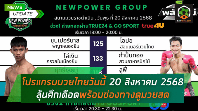 โปรแกรมมวย