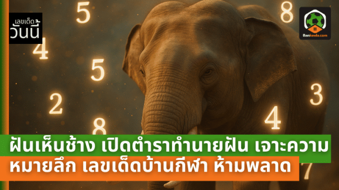 ฝันเห็นช้าง