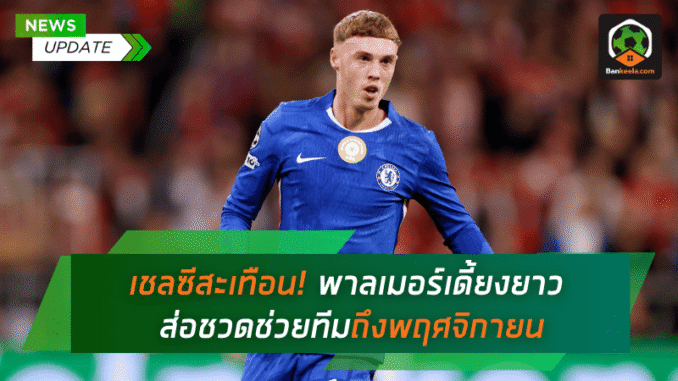 พาลเมอร์