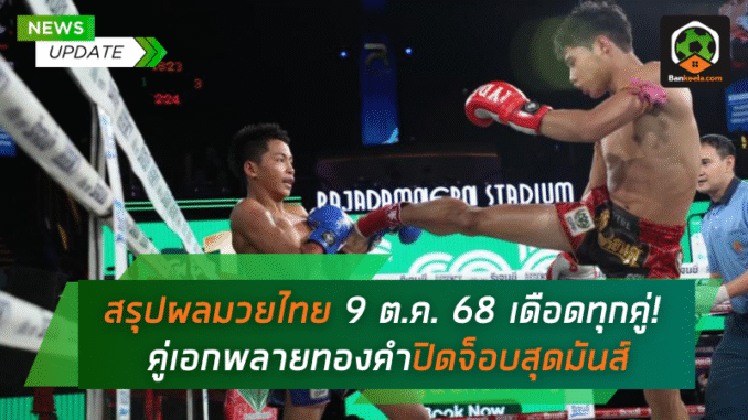 สรุปผลมวยไทย